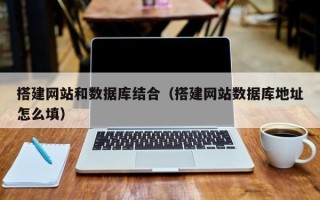 新沂搭建网站和数据库结合（搭建网站数据库地址怎么填）